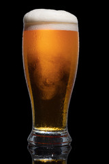 Glass of beer isolated on black background.
