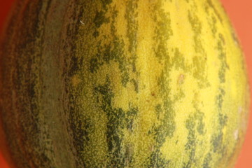 delicious melon grown in Spain on colorful background