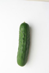 cucumber grown in Spain on colored background