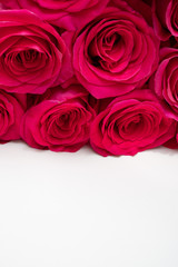 Beautiful fresh bright roses on a light background. Copy space.