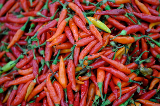 Indonesia Sumba Pasar Inpres Matawai - mix of chili peppers