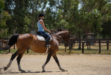 Young woman rider galloping on a horse