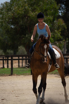 Brown horse and woman rider