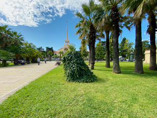 Fototapeta premium View of the spire of the Sochi Marine Station from the nearest green park.