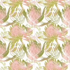 Pink and green flower pattern. Protea flower. Hand drawn illustration. - 295315583