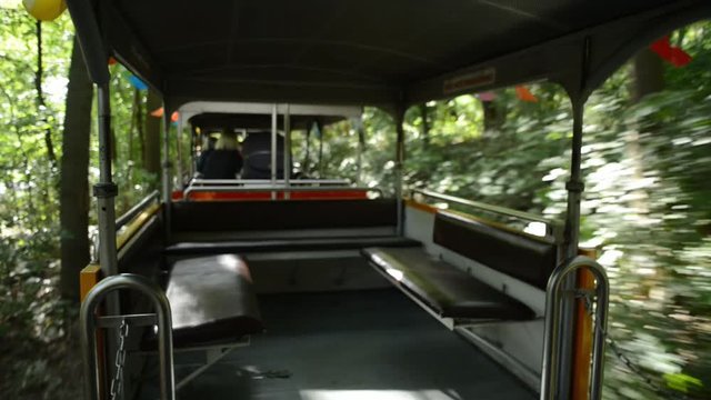 Bernburg, Germany a small vintage tourist train driving through a park in the nature with open car