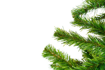 Obraz premium Fir tree branches close up against white background, copy space