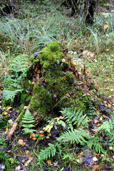 Schwarzes Moor in der Rh&ouml;n