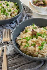 Risotto with porcini mushrooms (Boletus edible)