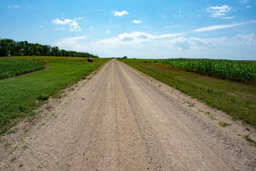 road in the field