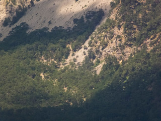 mountains summer sunny day, rest in the mountains
