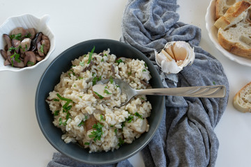 Risotto with porcini mushrooms (Boletus edible)