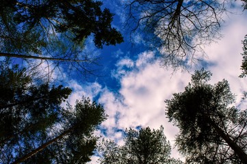 looking up to the sky and dream about the future