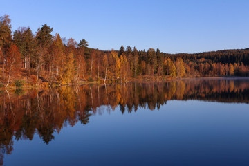 reflection of trees in lake, autumn