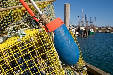 Lobster Trap and Buoy