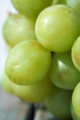 macro view on green grapes on a branch