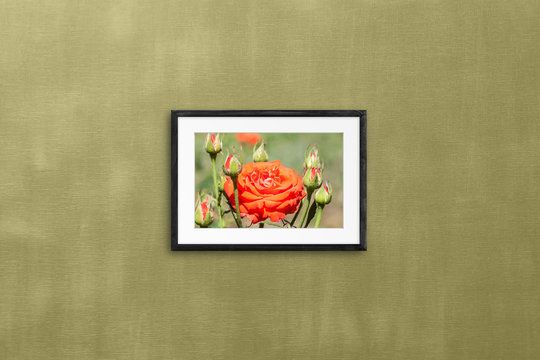 Photo frame with beautiful red roses bunch picture isolated on dark green textured wall