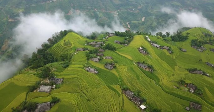 The stunning landscape of terraced rice fields at Hoang Su Phi in the northern viet nam. 