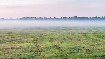 Obraz na płótnie Canvas Farmland in layer of fog at sunrise.