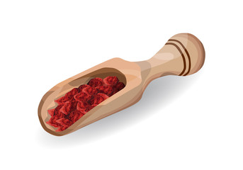 Dried Goji berries in a wooden scoop. Vector illustration for design and web.