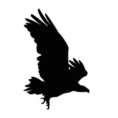 Eagle silhouette vector illustration isolated