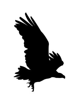 recommend clip art: Eagle silhouette vector illustration isolated