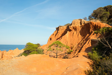 Felsenküste aus Sandstein, Atlantikküste, Algarve, Portugal, Europa