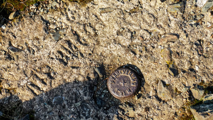 Geodesic triangulation mark on top of a rocky mountain