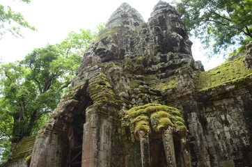 Angkor Wat mit Moos bewachsenes Tor mit Portrait