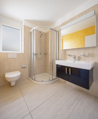 Bathroom with toilet, cabinet with sink and mirror and shower