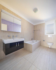 Bathroom with toilet, cabinet with sink and mirror and tube