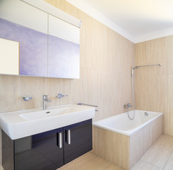 Bathroom detail with cabinet with sink and mirror and shower