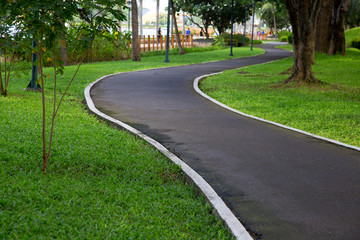 Obraz premium Lovely garden with footpath. 