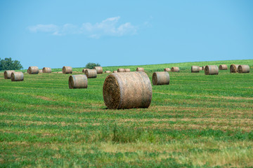 hay bale field