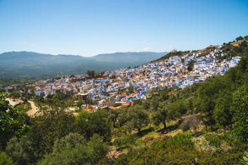 Fototapeta na wymiar Scenic panoramic view of Chefchaouen from a hill on a sunny day, known as the blue city, Morocco