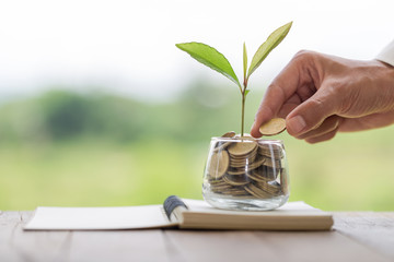 Coins and seedlings in a glass jar placed on a notebook The hands of investors will drop coins into glass bottles. The concept of hedging, real estate investment, business growth Invest for profit.