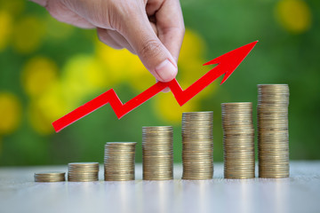 The coin ladder ranged from low to high and the red arrow handle. For the initial investment...