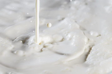 Fototapeta na wymiar Steady stream of fresh milk pours with splashes and bubbles.