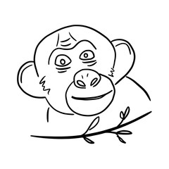 Head of monkey hand drawn outline. Coloring book. Isolated vector illustration.