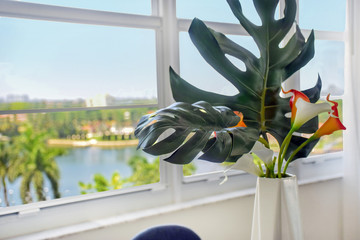 View of the bay from the dining room with monstera leave