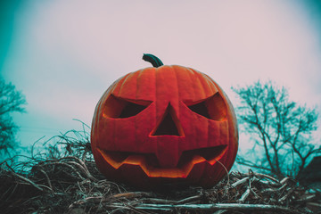 Pumpkin. Jack-o-lantern. The symbol of Halloween.