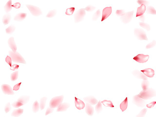 Pink sakura flower flying petals isolated on white vector background.