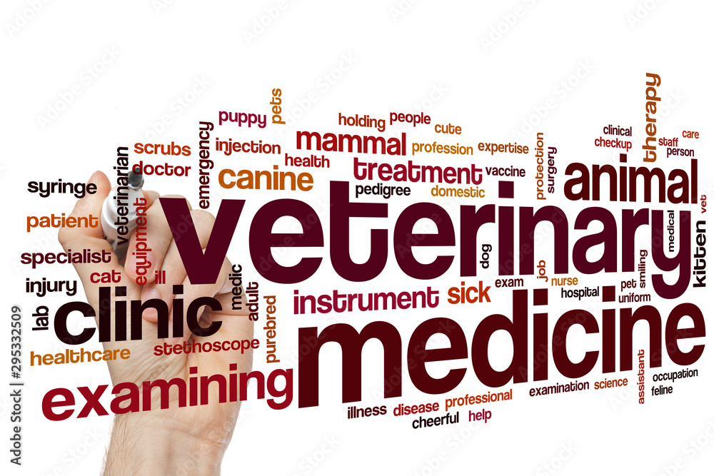 Sticker Veterinary medicine word cloud