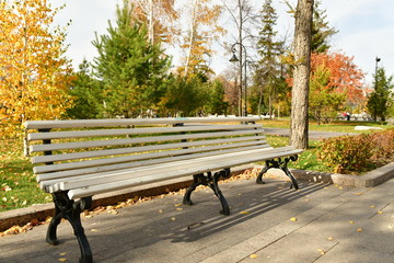 White bench in the autumn square 2023