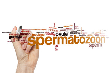 Spermatozoon word cloud