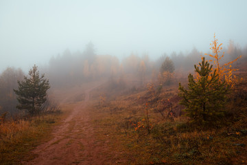Fototapeta premium beautiful autumn morning with heavy fog