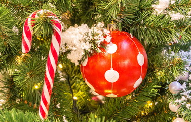 Christmas tree decorated with red ball and striped lollipop.