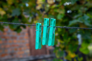 Old clothespins on a thread