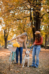 Fototapeta premium Two female friends walking in the yellow autumn park with dog and bicycle