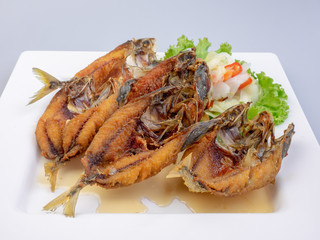 Fried  Fish with Fish Sauce in white dish .Thai food menu